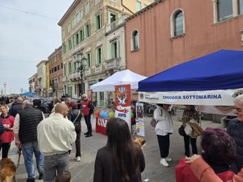 Lions Day CHIOGGIA IN FIORE-2